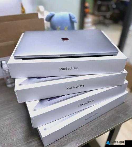 19 岁 MacBookPro 在欧美市场的发展历程-回顾其辉煌成就与挑战